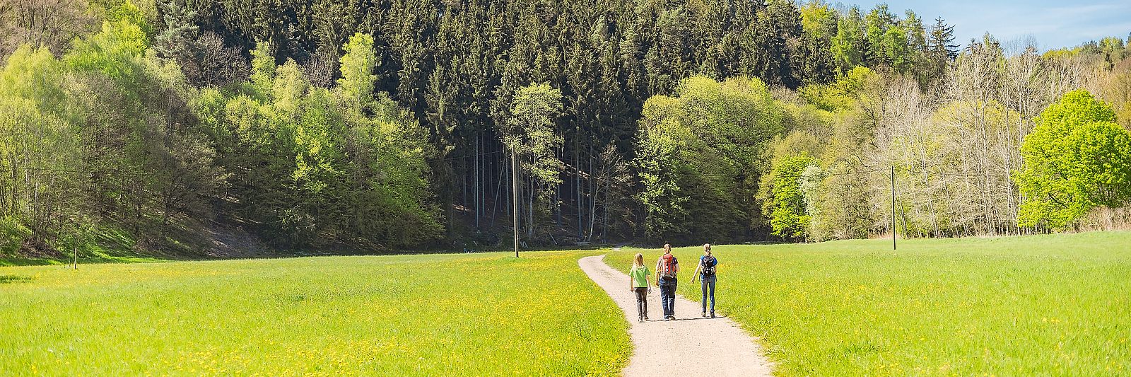 Personen spazieren auf einem Weg durch die Natur.