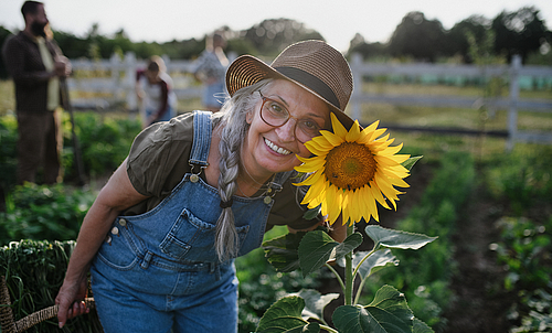 Senior female farmer with sunflower looking at camera outdoors at community farm.