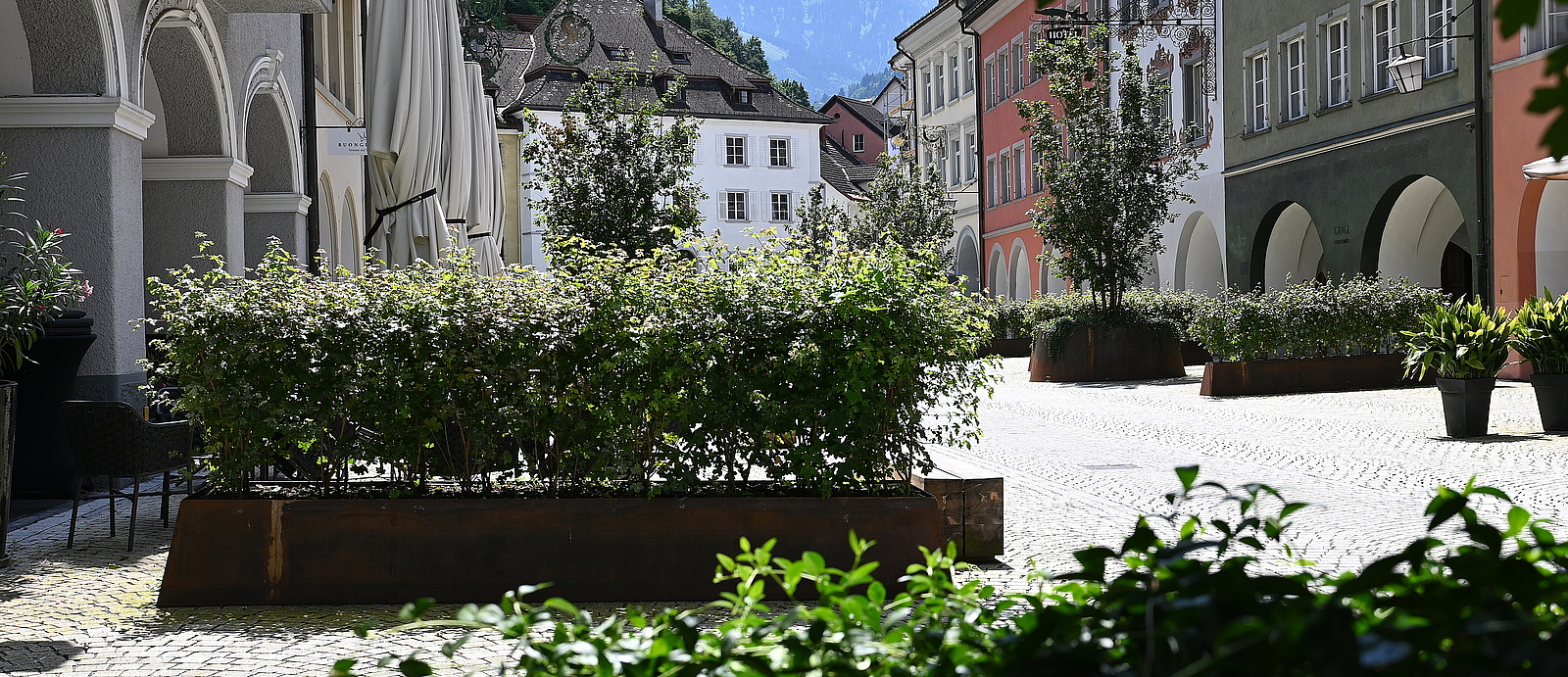 Blick in die Neustadt mit Bäumen und Sträuchern