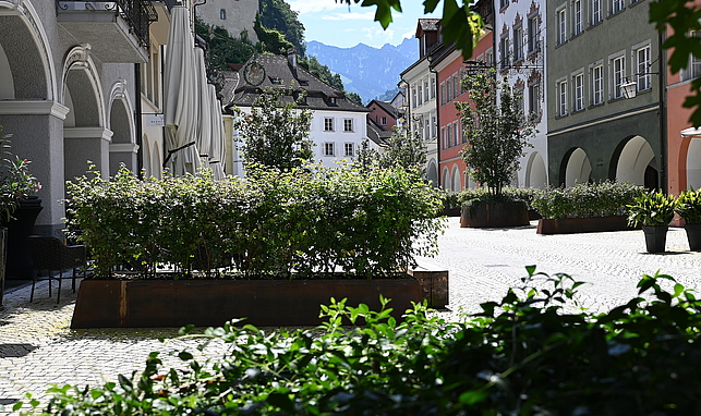 Blick in die Neustadt mit Bäumen und Sträuchern