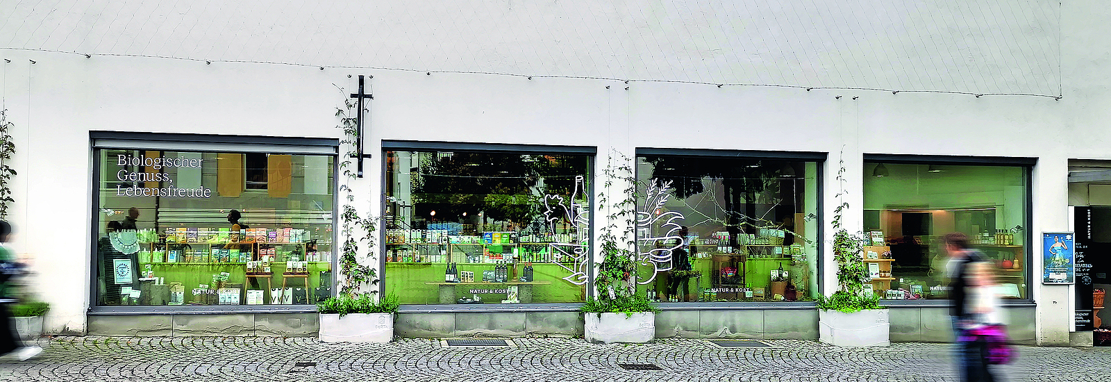 Fassadenbegrünung an einem Gebäude in der Johannitergasse in der Feldkircher Innenstadt