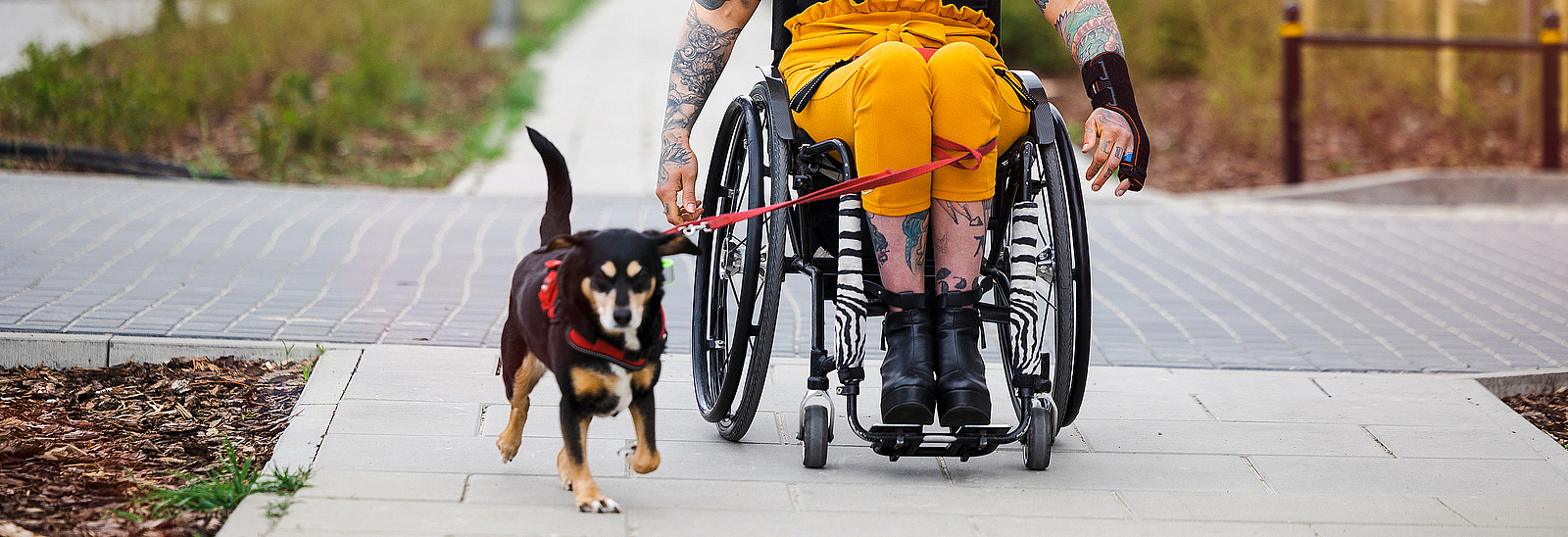 Eine Frau sitzt im Rollstuhl, neben ihr läuft ein kleiner Hund.