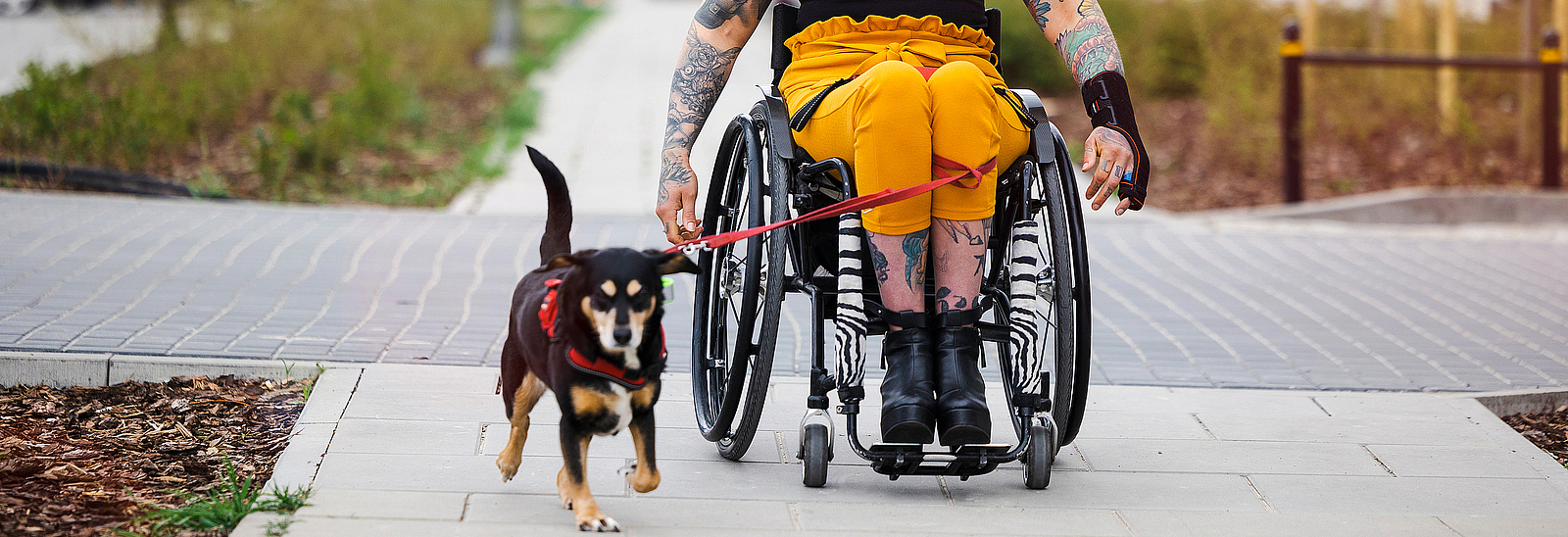 Eine Frau sitzt im Rollstuhl, neben ihr läuft ein kleiner Hund.
